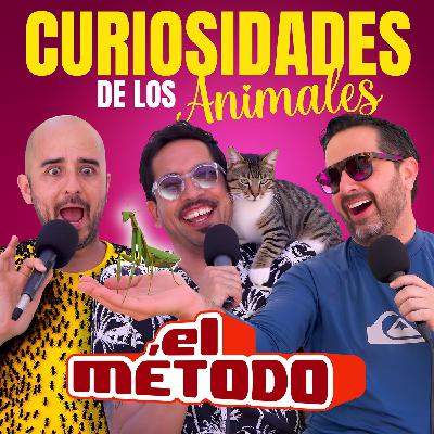 La naturaleza es muy áspera