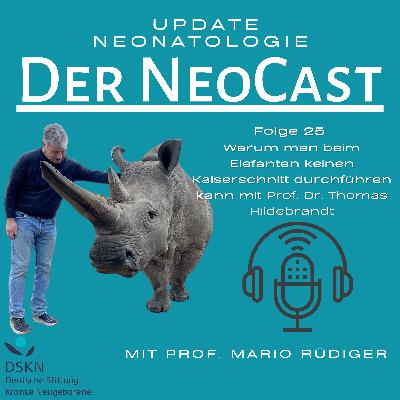 Warum man beim Elefanten keinen Kaiserschnitt durchführen kann mit Prof. Dr. Thomas Hildebrandt