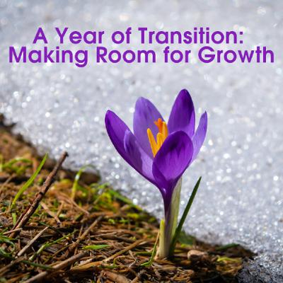 A Year of Transition - Making Room for Growth A Year of Transition - Making Room for Growth