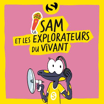 Episode 5 : Y-a-t-il de la vie en ville ? Episode 5 : Y-a-t-il de la vie en ville ?