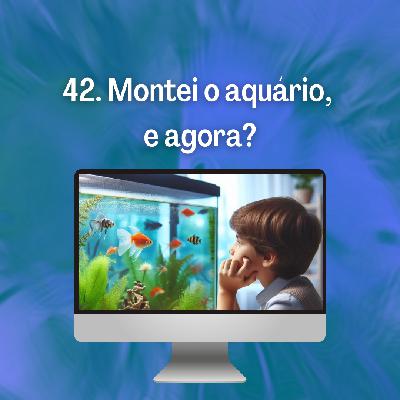 42. Montei o aquário, e agora? 42. Montei o aquário, e agora?