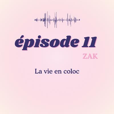 #11 - Zak, la vie en coloc #11 - Zak, la vie en coloc