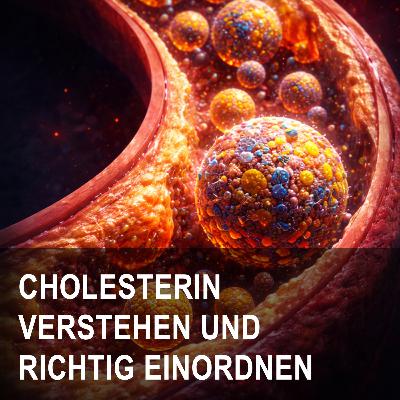 CHOLESTERIN: LDL, Ernährung und Therapie richtig verstehen