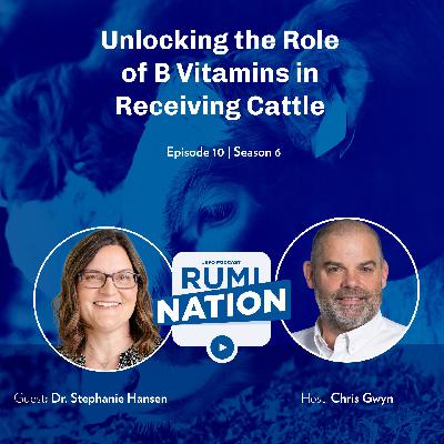 Unlocking the Role of B Vitamins in Receiving Cattle