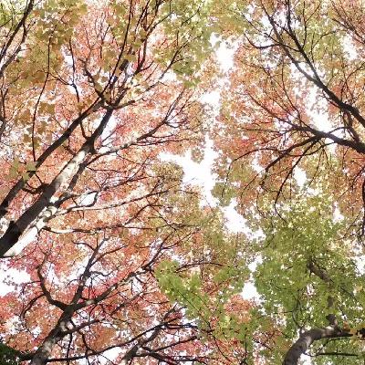 65、债券基金和理财为啥不行了？