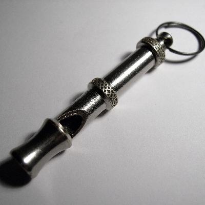 Dog Whistles & Double Meanings: How Politicians Hide Controversial Messages in Plain Sight