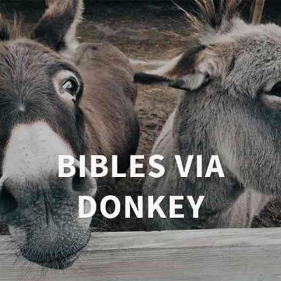 Syria - Bibles Via Donkey Syria - Bibles Via Donkey