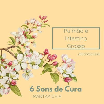 🌬️Prática dos Seis Sons de Cura - Pulmão e IG (sssssssss)🌬️