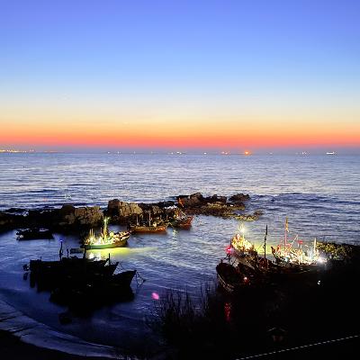 Vol.109 回避型最深的恐惧，不是不爱你，而是不敢“需要”你