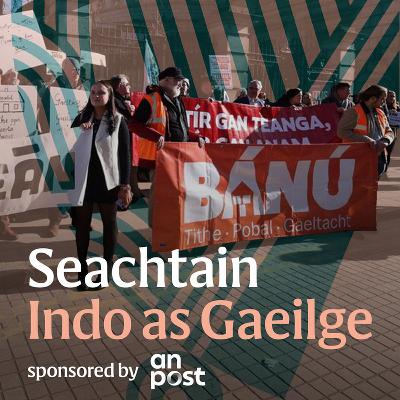 Bánú na Gaeltachta: Where are all the Irish speakers?