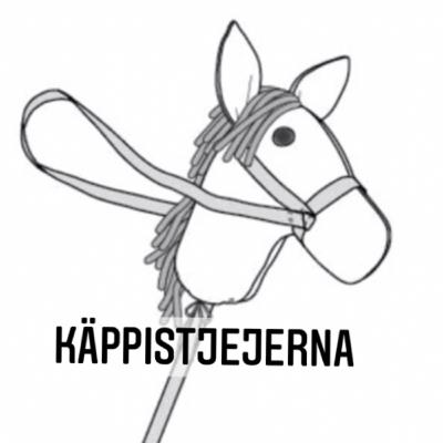 Att buda på en käpphäst