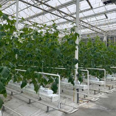 AVVD - JUBILEU 350 ANOS - O SAGRADO CORAÇÃO DE JESUS - PARTE 3 - PADRE SIMEÃO AVVD - JUBILEU 350 ANOS - O SAGRADO CORAÇÃO DE JESUS - PARTE 3 - PADRE SIMEÃO