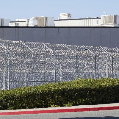 Lawyers Using Habeas Corpus In Last-Ditch Efforts To Free Detained Immigrants