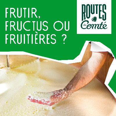 Épisode 3 : Frutir, fructus ou fruitière Épisode 3 : Frutir, fructus ou fruitière