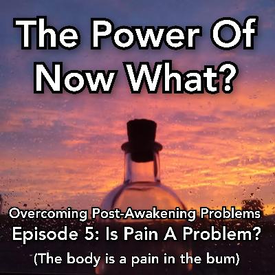 The Power Of Now What? A Podcast on Overcoming Post-Awakening Problems Episode 5: Is Pain a Problem? (The body is a pain in the bum)