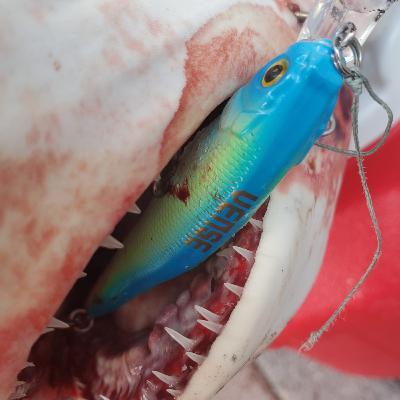 Pescando Tiburones con Señuelos Vense