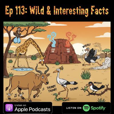Ep 113: Wild & Interesting Facts