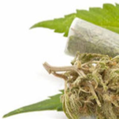 Implicaciones de la legalización #Legal