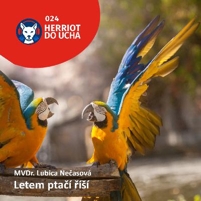 #24 Letem ptačí říší 🦜🐦 - MVDr. Lubica Nečasová. Podcast o chovu papoušků a exotického ptactva. #24 Letem ptačí říší 🦜🐦 - MVDr. Lubica Nečasová. Podcast o chovu papoušků a exotického ptactva.
