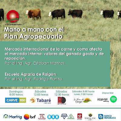 Mercado internacional de la carne . Escuela Agraria Raigón.