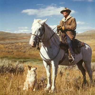 Narrative Writing Excerpt #1: An Aging Cowboy’s American Dream