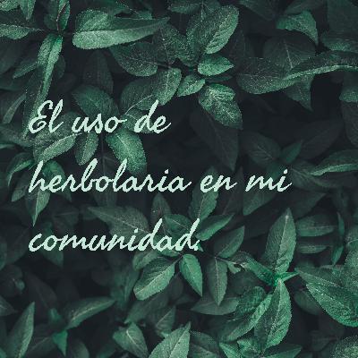 El uso de la herbolaria en mi comunidad.