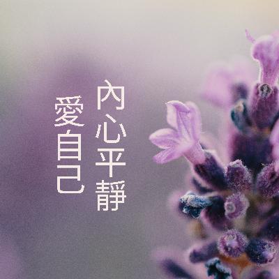 引導冥想 | 愛自己、找回內心平靜 | 療癒海豚