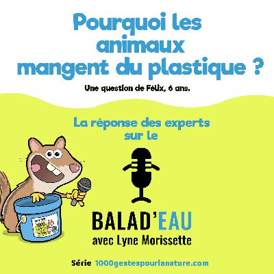 Pourquoi les animaux mangent du plastique?