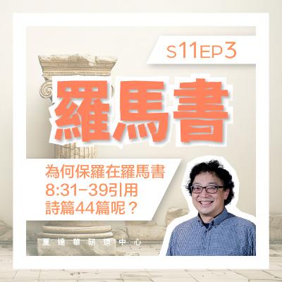 羅馬書 11 EP3 為何保羅在羅8:31-39 引用詩篇44篇呢？Romans 8:30 -9:5