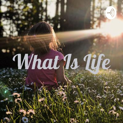 The life of a Christian The life of a Christian