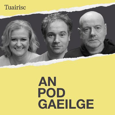 Díospóireacht na huachtaránachta – a seans mór deireanach caillte ag Heather Humphreys?