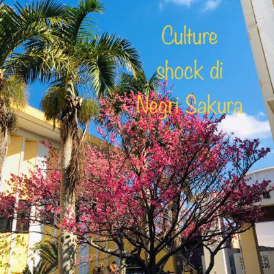 Culture Shock di Negri Sakura