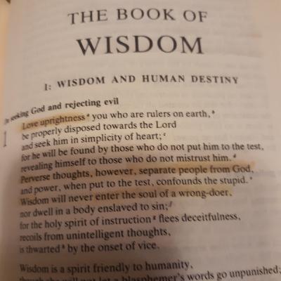 Lesson 14: Wisdom Is the Principal Thing Lesson 14: Wisdom Is the Principal Thing