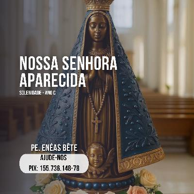 Homilia Dominical | As 6 talhas vazias do Brasil.