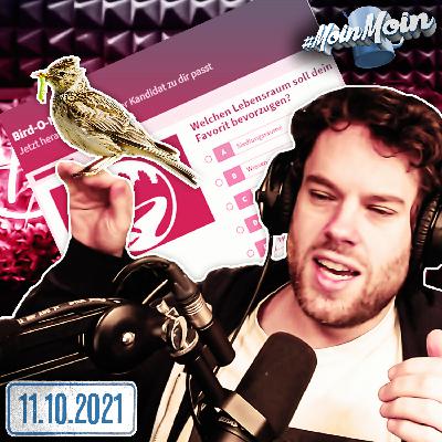 #1591 | Florentins BOYKOTT - Wahl zum Vogel des Jahres