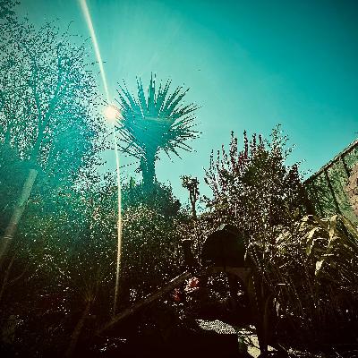 Tropical Techno April 2022