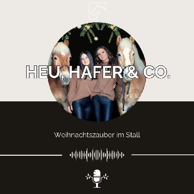 Episode 42 - Weihnachtszauber im Stall