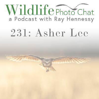 231: Asher Lee