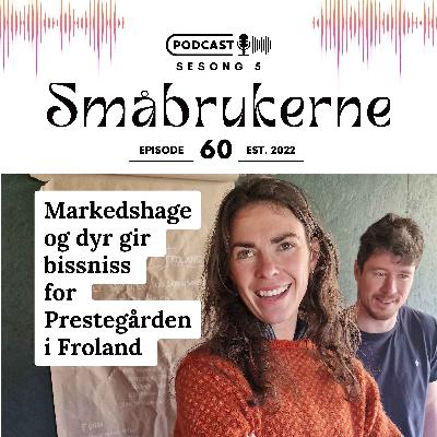 Markedshage og dyr gir bissniss for Prestegården i Froland