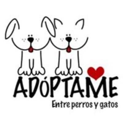 Adoptar cambia dos vidas Adoptar cambia dos vidas