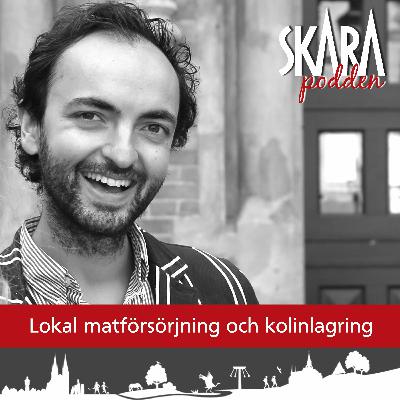 Lokal matförsörjning och kolinlagring