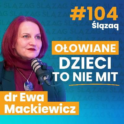 Dr Ewa Mackiewicz: Ołowiane dzieci to nie mit. Co zostało po hucie cynku w Szopienicach?