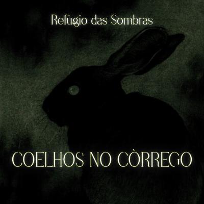 #21 - COELHOS NO CÓRREGO | Creepypasta