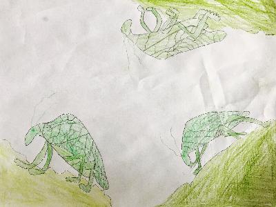 2.3 Lovely Leaf Bugs