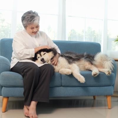 Access to Care: How the PAW Act Could Help Pets and Their People