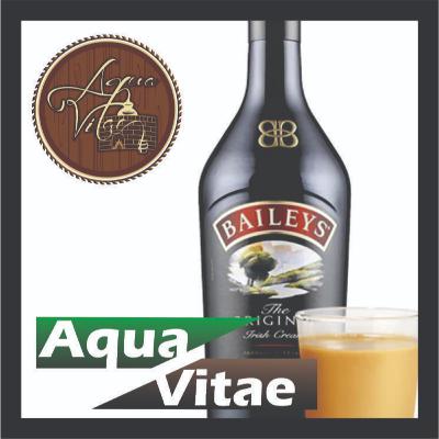 ¿Que es Baileys? 🥛 - Historia y características