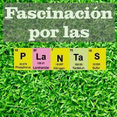 Fascinacion por las Plantas - 243 - Un nuevo tjido vegetal
