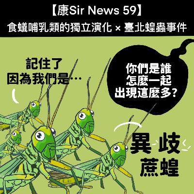 【康Sir News 59】食蟻哺乳類的獨立演化 × 臺北蝗蟲事件