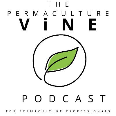 101. From Fear to Abundance