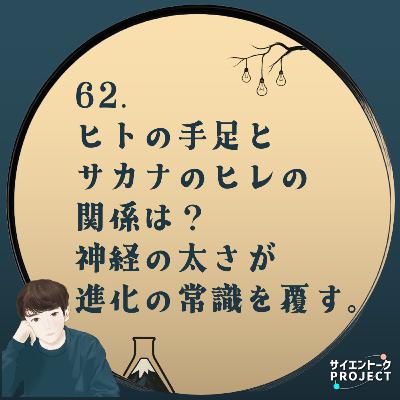 62. ヒトの手足とサカナのヒレの関係は?神経の太さが進化の常識を覆す。 62. ヒトの手足とサカナのヒレの関係は?神経の太さが進化の常識を覆す。